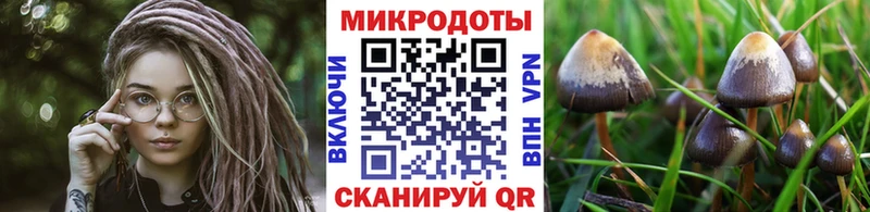 Псилоцибиновые грибы Psilocybe  Челябинск 