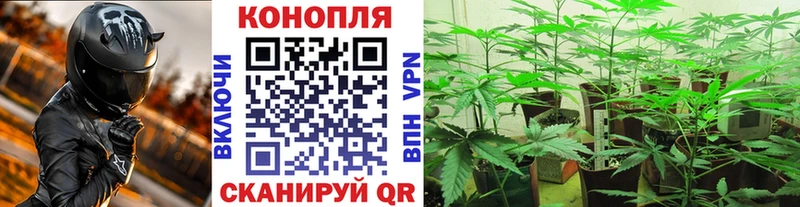 МАРИХУАНА семена Челябинск
